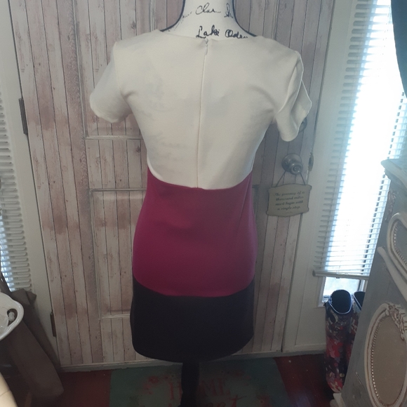 🌟5for25🌟Tri-Polar Dress - Picture 2 of 4